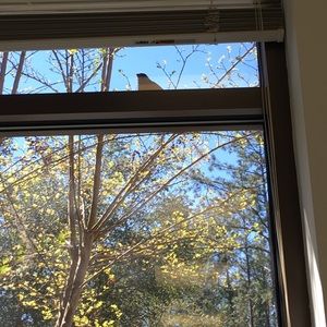 Meet your Posher, Krystal